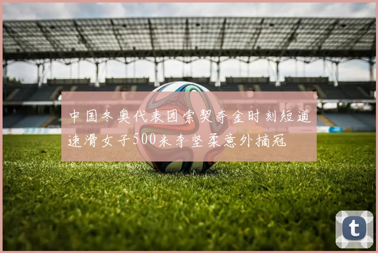 中国冬奥代表团索契夺金时刻短道速滑女子500米李坚柔意外摘冠