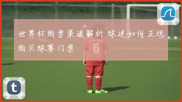 世界杯购票渠道解析 球迷如何正规购买球赛门票