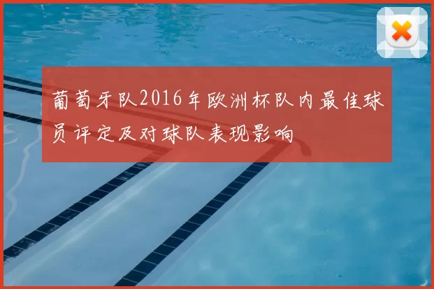 葡萄牙队2016年欧洲杯队内最佳球员评定及对球队表现影响